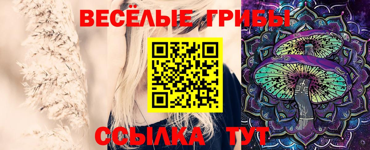 Галлюциногенные грибы мицелий  Вход с VPN  Россошь 